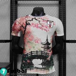 Camiseta Futbol Japon Edicion especial Hombre 24 25 TBB558