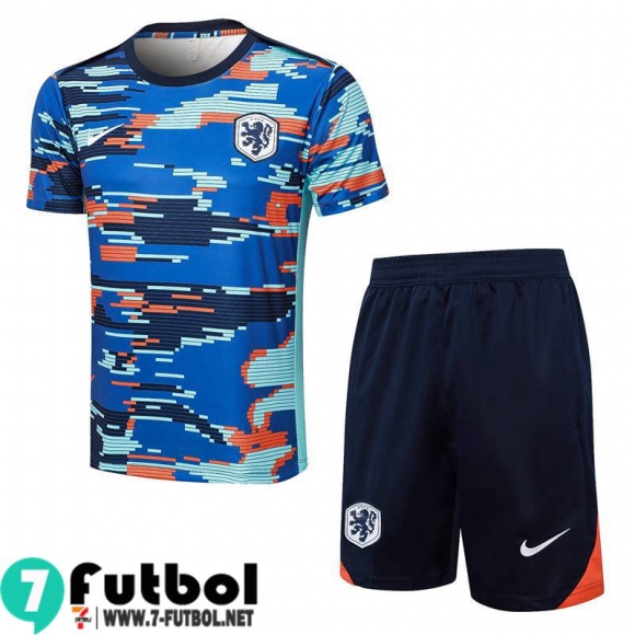 KIT: T Shirt The Tangerines Hombre 2425 H120