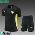 KIT: T Shirt Dortmund Ninos 24 25 H175